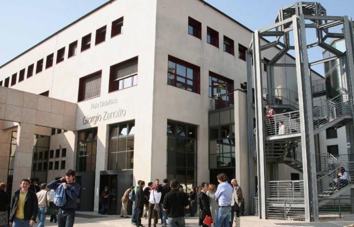 University of Verona, 80% of new graduates find work in a year