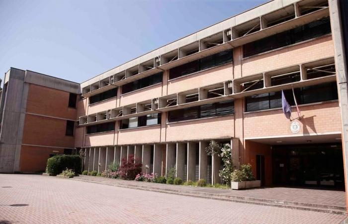 Reggio. Liceo Moro: Pd in ​​Valditara, condemns the case of the revisionist teacher
