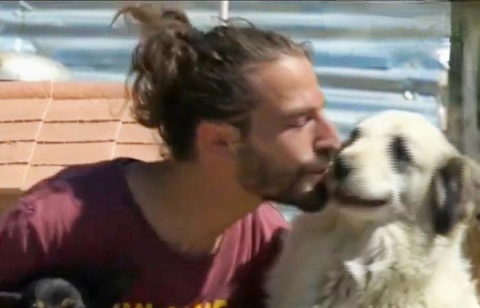 Crotone: Giandomenico, fined 1,500 euros by the ASP for saving and looking after stray dogs