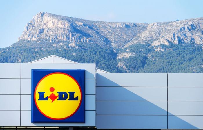 Don’t miss Lidl’s gas pizza oven: available from 17 June