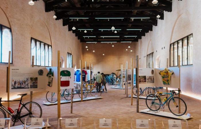 The exhibition ‘Faenza, Faïence, bicycles towards the Tour de France’ officially inaugurated with the champions of yesterday and today
