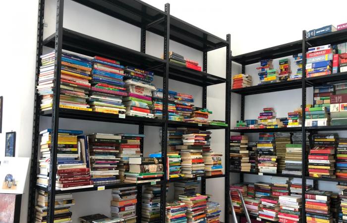 A new bookshop for Rebaudengo: «We still bet on paper» – THE VIDEO – Turin News
