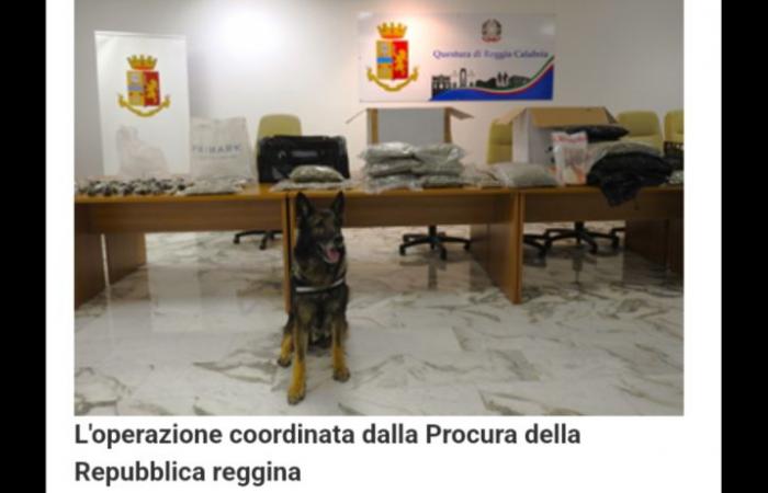 On 13 June 2024, as part of the initiatives to combat the phenomenon of drug dealing promoted by the Reggio Calabria Police Headquarters, investigators from the Flying Squad, with the constant coordination of the Reggio Public Prosecutor’s Office, arrested a twenty-eight year old from the Catona district for the crime of possession of a narcotic substance