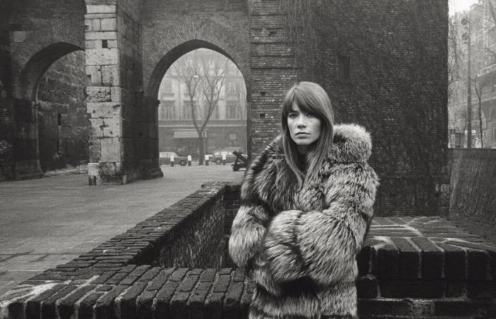 Françoise Hardy generation: the singer put love at the center, in her life and in her songs