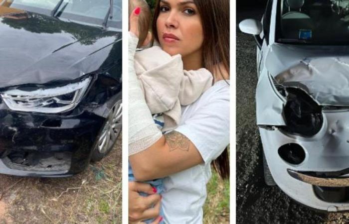 Ferrara, the complaint of a mother: «In a few days the deer destroyed two of my cars, my son and I are miraculously alive»