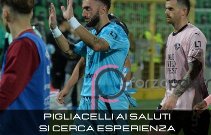 Palermo, Pigliacelli greetings. An experienced goalkeeper can arrive