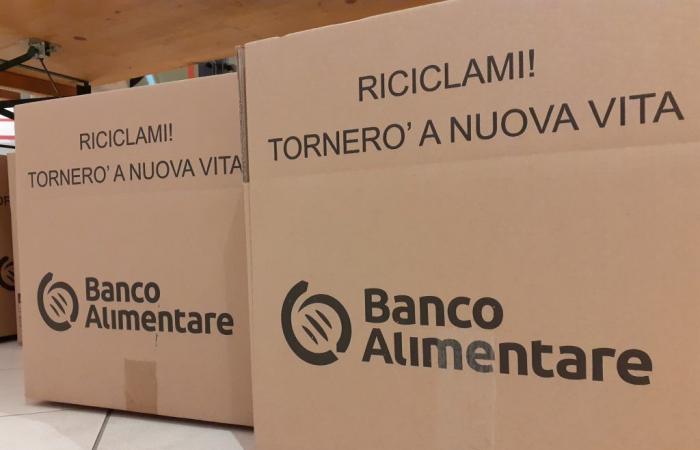 Confagricoltura and Banco Alimentare sign a protocol to combat food waste