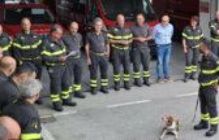 Retired firefighter dog, Prato honors Foglia