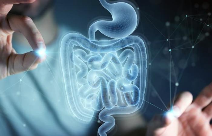 a high-tech pill explores the gut microbiome