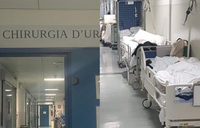 Cagliari, Brotzu powder keg: “Dangers in the emergency surgery department and transplant patients thrown into the wards”