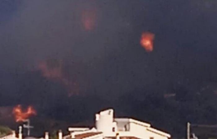 Hill on fire in Corigliano Rossano, the fire threatened the cemetery