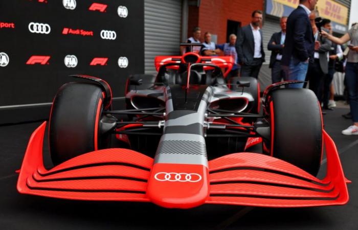 Former Formula 1 champion points to Red Bull’s case as a warning to Audi.