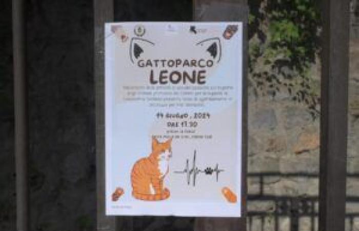 THE FIRST “GATTOPARCO” DEDICATED TO LEONE IN SALERNO