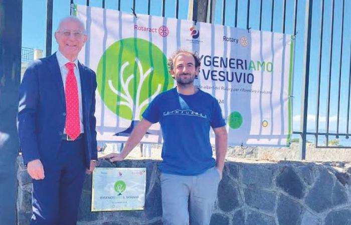 «Let’s reforest Vesuvius»: Rotary donates two thousand trees in Torre del Greco