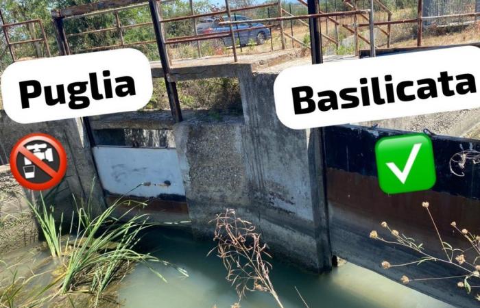The canals are dry in the Tarantino area but not in Basilicata