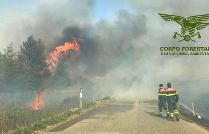 Today in Sardinia 19 fires: helicopters in action | News
