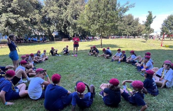 Scouts in Prato, 2000 cubs and ladybugs