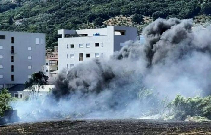 Lamezia Terme fire in Scordovillo, Di Matteo: “The city held hostage by a handful of criminals”