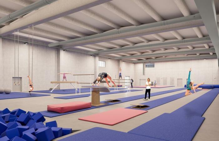 Work has begun on the new sports center in Brescia: the Citadel of Artistic Gymnastics and the indoor athletics facility