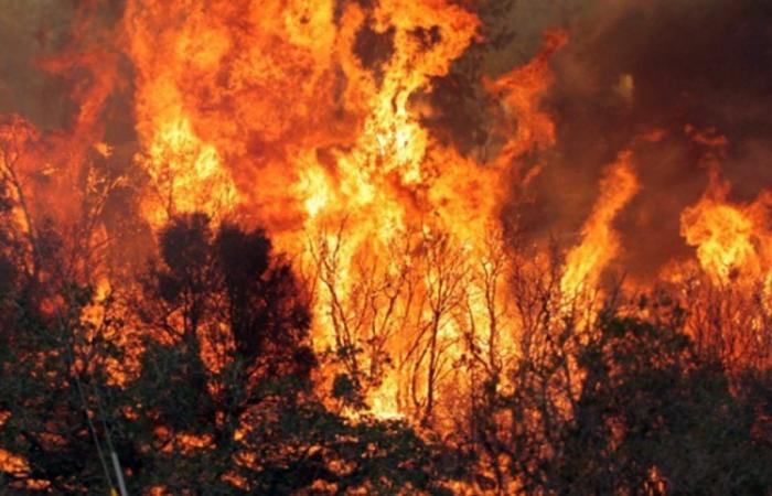 Frosinone – Fires, summit in the Prefecture – Tu News 24