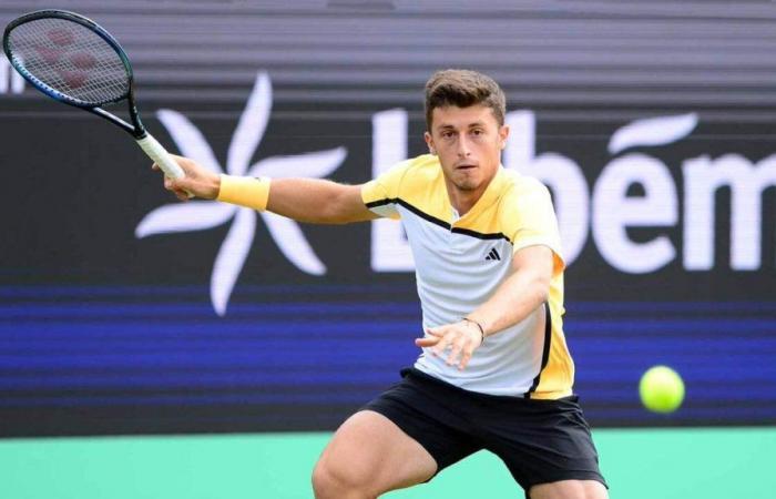 Luca Nardi eliminated in the Queen’s qualifiers: Kokkinakis wins in three sets