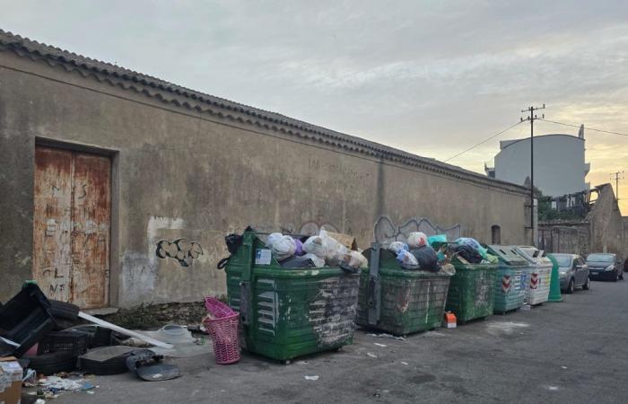 Crotone: Forza Italia calls for urgent intervention for Piazza delle Foibe