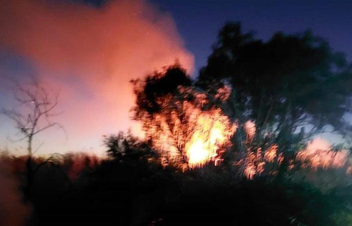 Vegetation fires in the Campofelice di Roccella area, firefighters and volunteers intervened – BlogSicilia