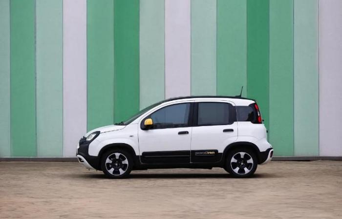 Fiat Pandina, the new price will be truly surprising: no one imagined it so low