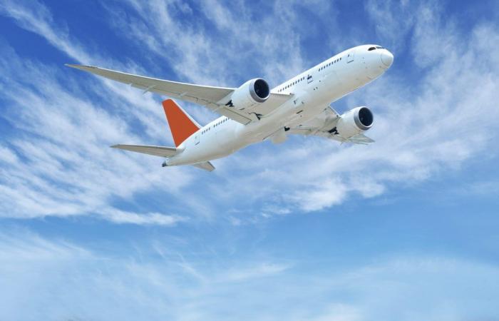 Low cost flights? The survey: with extras, price also increases by 363%