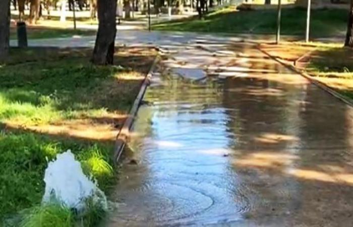 Andria, the flooded municipal villa: a public waste due to imbeciles. There is a hunt for those responsible for the damage to the irrigation system