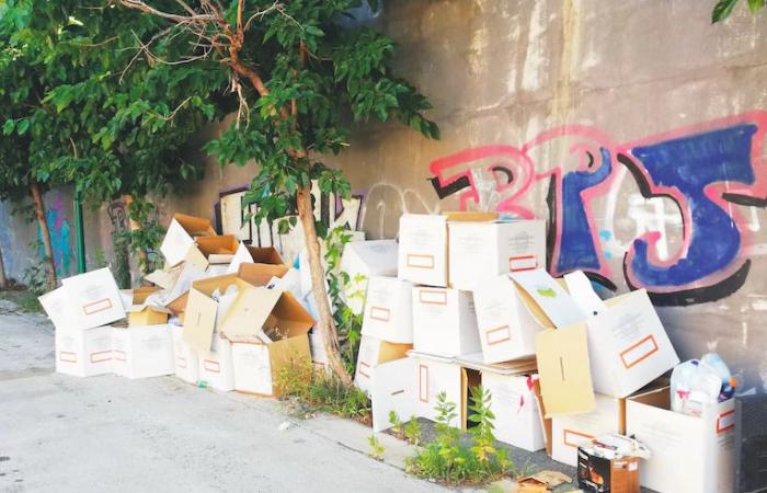 Torre del Greco, the own goal on the “electoral differentiation”: the ballot boxes abandoned in the Viale Sardegna market