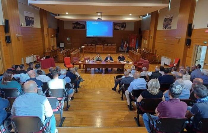 Olive growers and forestry police together for environmental regulations