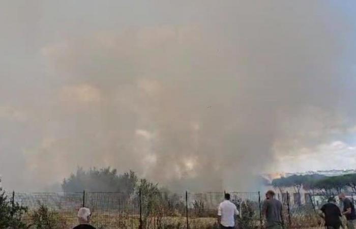 Rome, huge fire and column of smoke in the green area of ​​Vigne Nuove