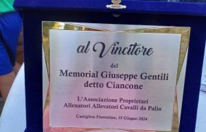 Palio dei Rioni Monticiano: Piazza wins with Salvo Vicino