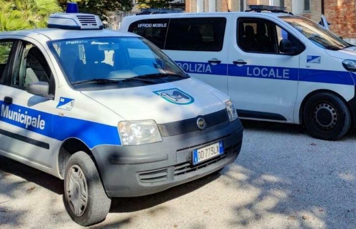 Drunk man attacks 4 Fano traffic policemen: arrested. The mayor: «We will adopt new tools»