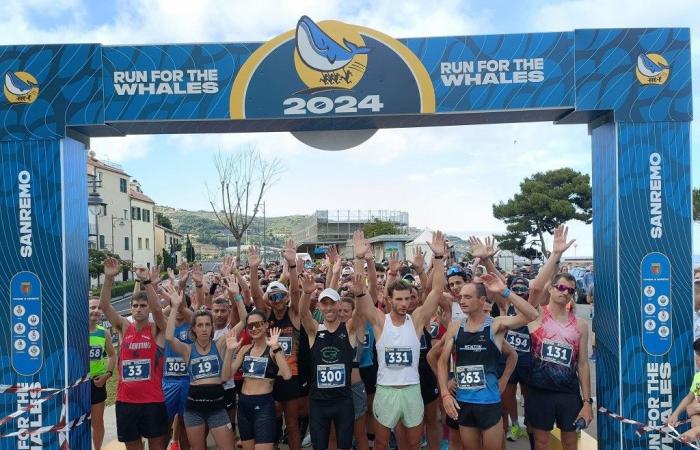 with 765 record numbers registered for the ‘Run for the whales’ 2024. The ranking (photo) – Sanremonews.it