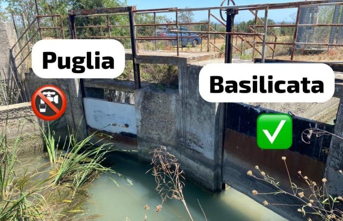 Water from the Lucanian dam: “dry canals in the Taranto area, not in Basilicata” VIDEO