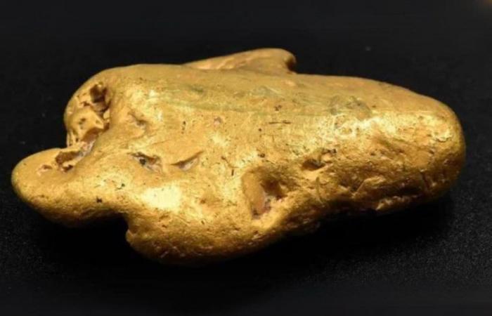 Find a gold nugget thanks to the metal detector: the value is impressive