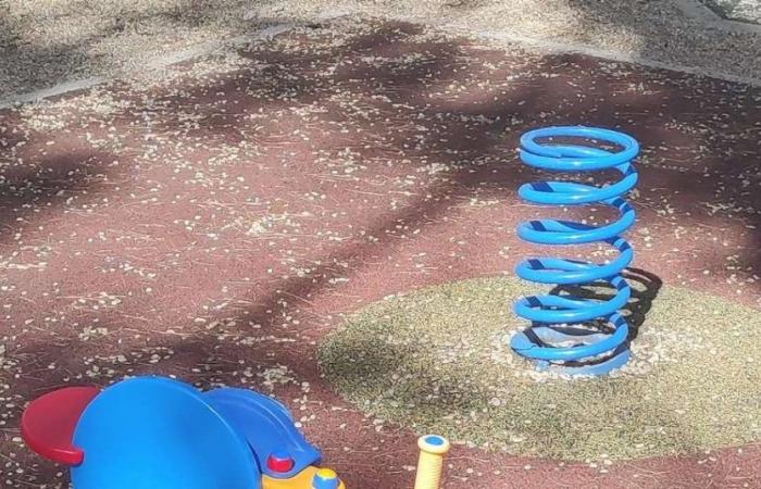 The playground in front of the court is in pieces – Teramo