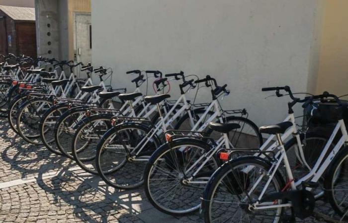 Shared bicycles are back: there is an announcement on the new management – Teramo