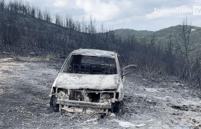 Nightmare of forest fires, the forestry police are ready for the campaign to combat the phenomenon