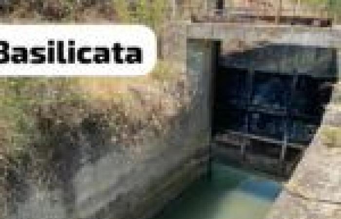 Water from the Lucanian dam: “dry canals in the Taranto area, not in Basilicata” VIDEO