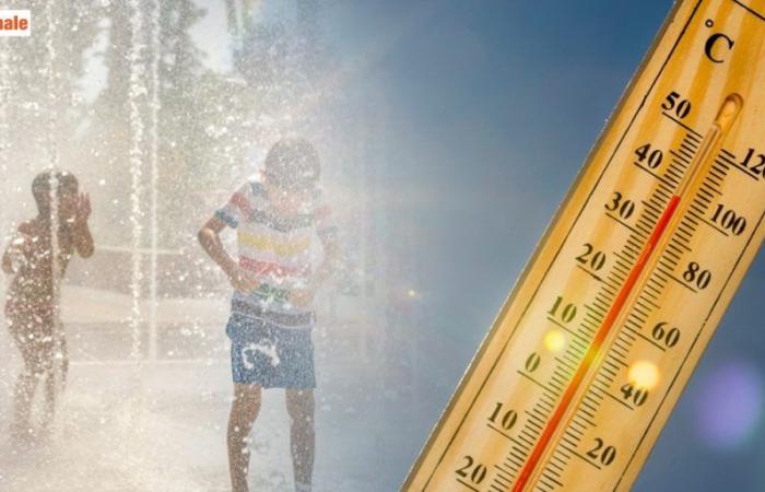 The Big Heat is about to arrive: let’s prepare for a hot week