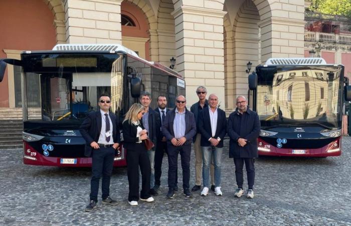 Amaco and Tpl in Cosenza: the uncertain future of local public transport