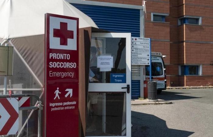 Viareggio, convicted doctors will not pay millionaire compensation to the ASL Il Tirreno