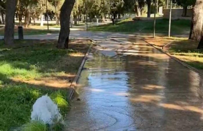 Acts of vandalism to the villa’s irrigation system, again a waste of public money