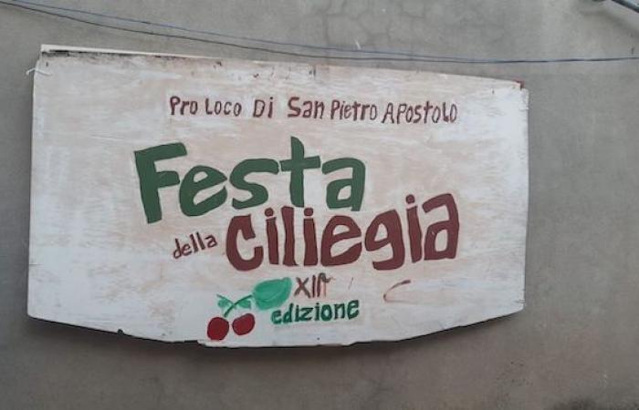 The cherry festival in San Pietro Apostolo: colours, flavors and traditions