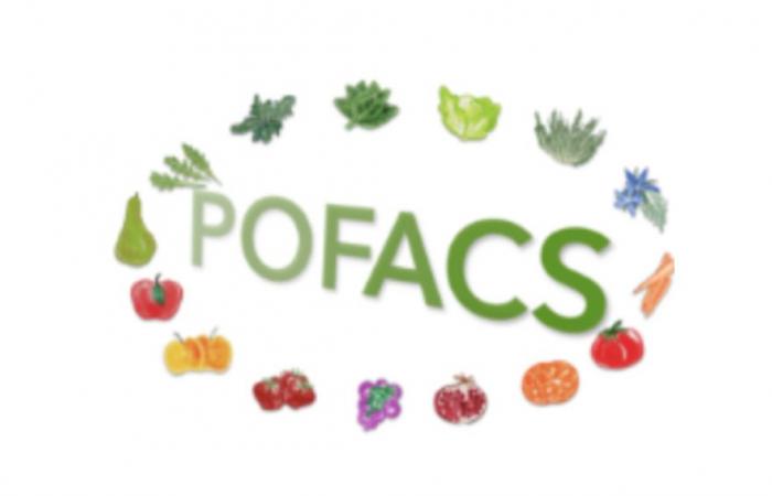 Research, edible films for fruit: the “Pofacs” project made in Caserta