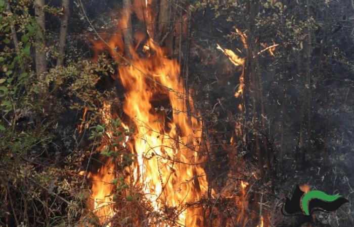 THE FIRE-FIGHTING CAMPAIGN KICKS OFF IN THE LAZIO REGION – Sabinia TV