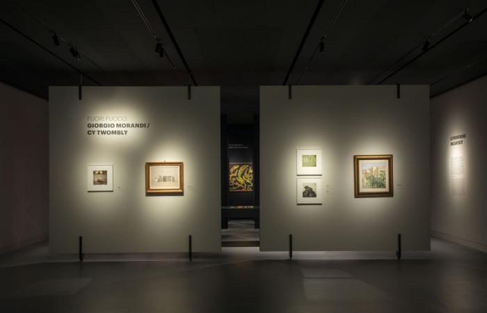 The exhibition dedicated to Michelangelo Antonioni to visit now